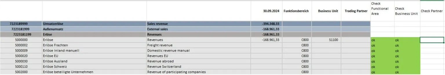 Abbildung 4_Tabelle mit Ergebnisrechnungssalden inklusive IC-Partnern, Segmenten und Funktionsbereichen