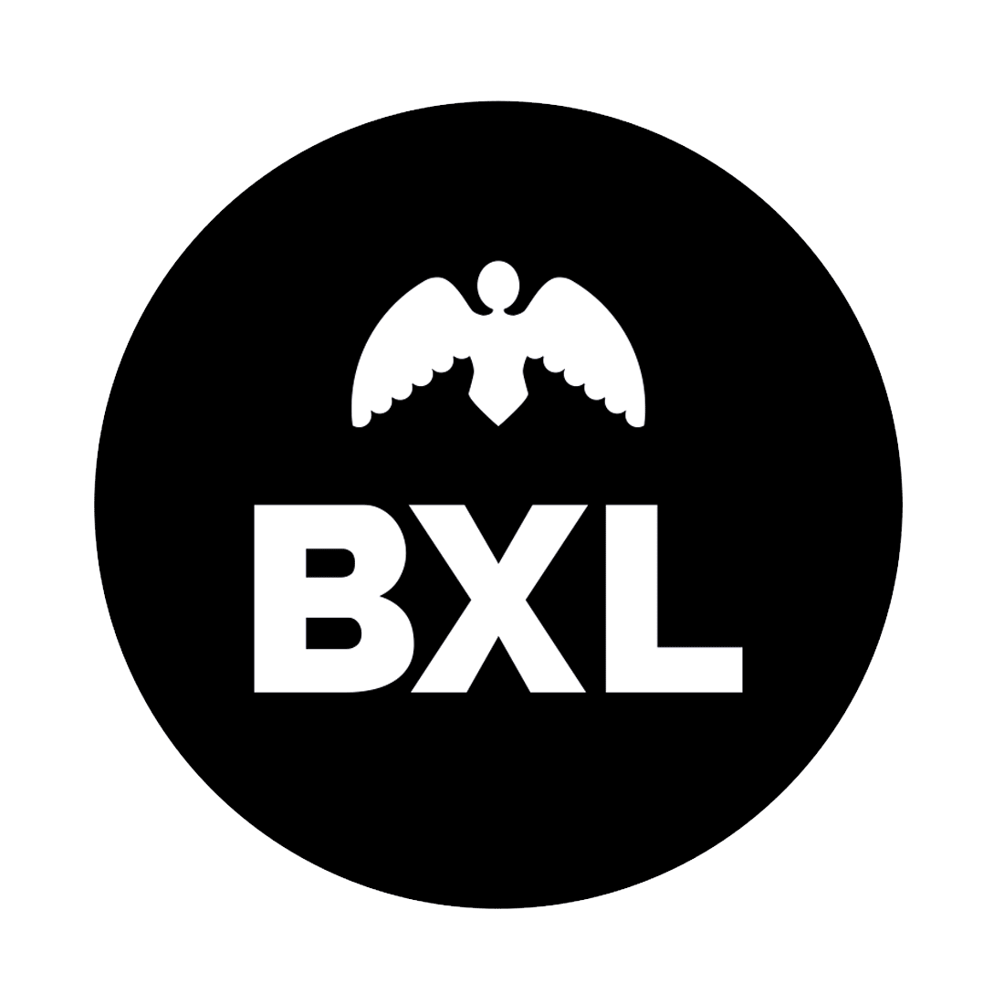 Microsoft Kundenprojekt - BXL