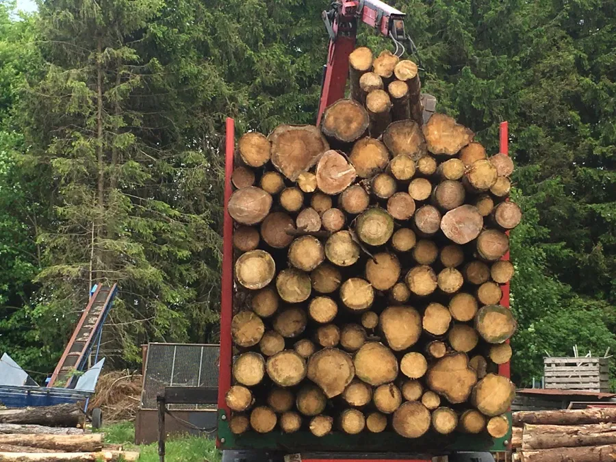 Ein mit senkrecht gestapelten Baumstämmen beladener KI-Lastwagen wird im Freien in der Nähe von Bäumen und anderen Geräten aufgestellt.
