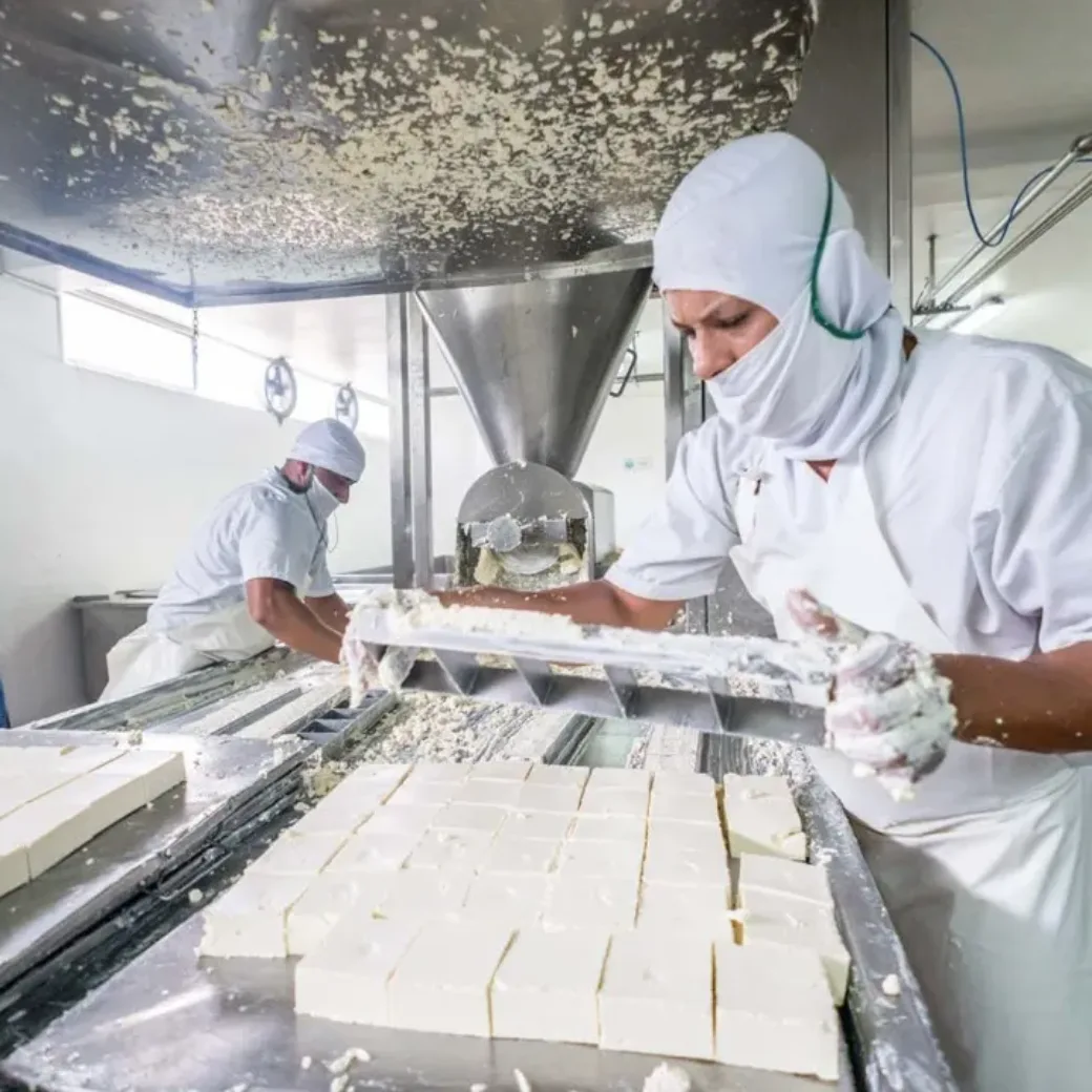 Mitarbeiter in der Käseproduktion schneidet Feta. valantic unterstützt die Lebensmittelindustrie bei der Digitalisierung.