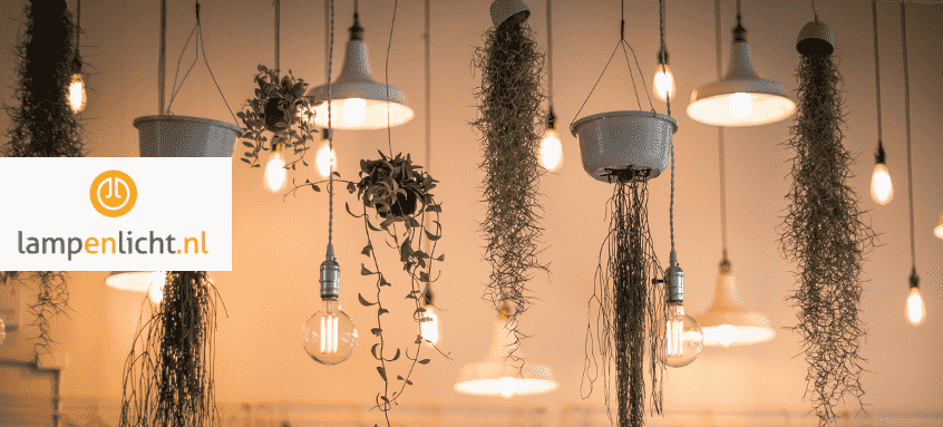 Planten en lampen die hangen aan een plafond