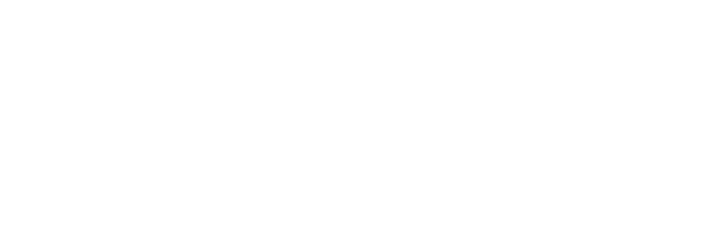Logo der Meyer Werft, white