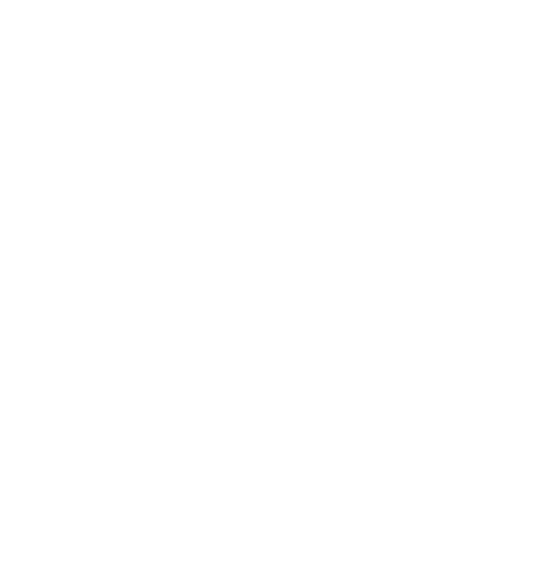 V-ZUG Logo white