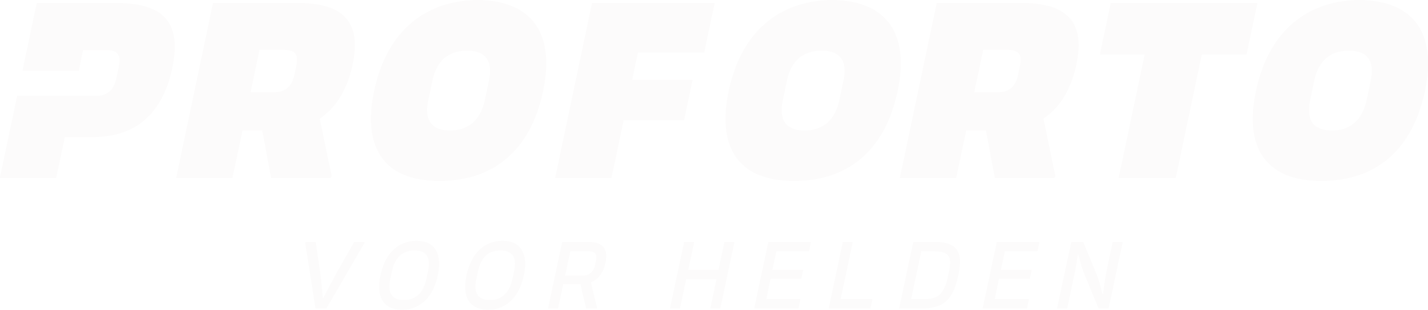 Logo Proforto voor Helden