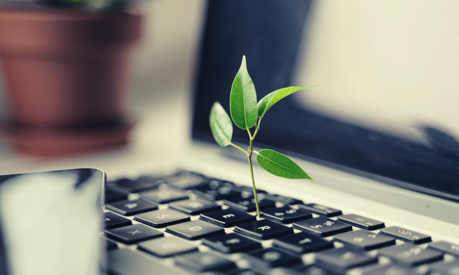 Duurzaamheid: Groen blad groeit uit laptop