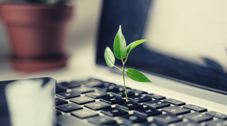 Duurzaamheid: Groen blad groeit uit laptop