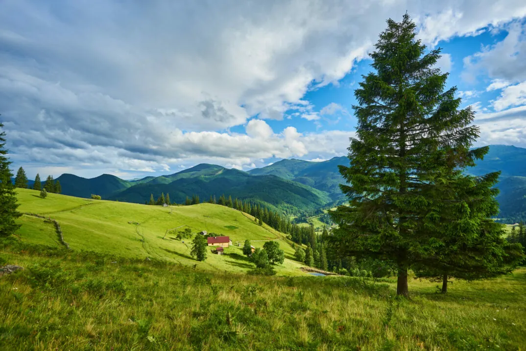 Imagem de uma paisagem verde com montanhas, Caso de Sucesso Burgis, Introdução ao SAC