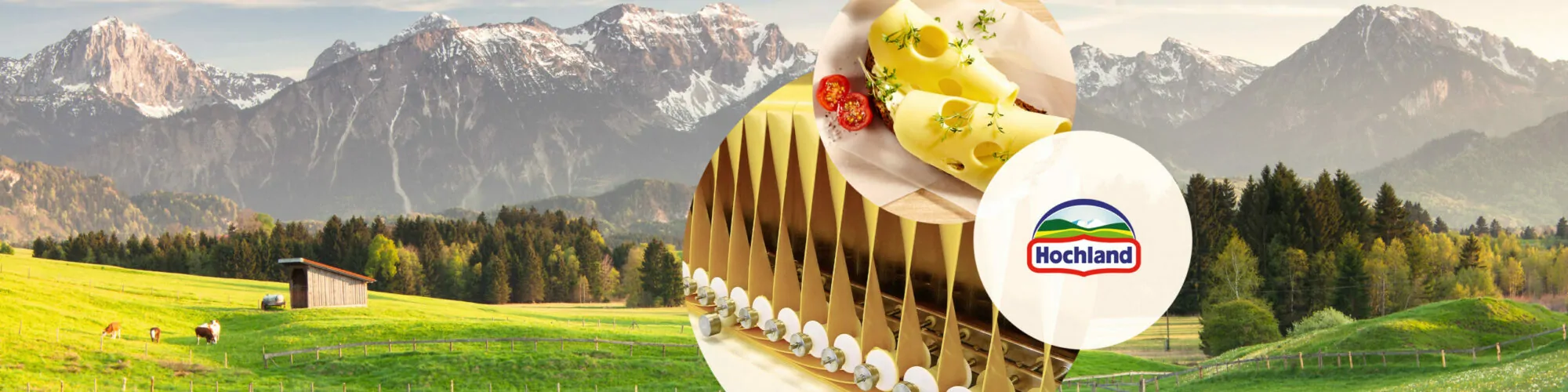 Imagem de maquinas para a produção de queijo, próximas ao logotipo da Hochland, caso de estudo da valantic: Hochland escolhe a abordagem greenfield para a migração SAP S/4HANA