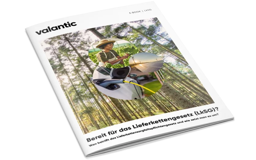 Mockup zum Ebook Lieferkettengesetz, LkSG