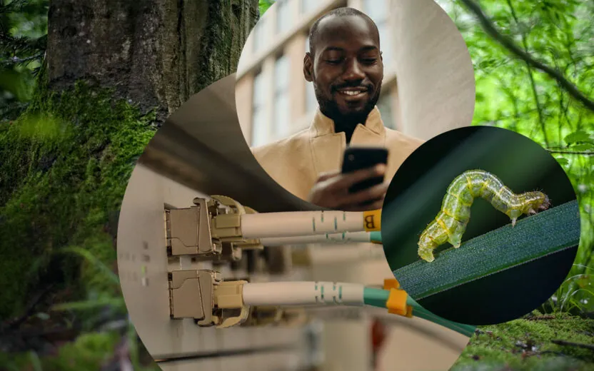Raupe auf einem Blatt, Person am Handy und Wald im Hintergrund