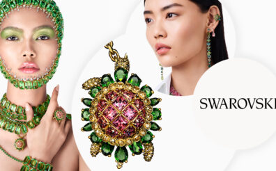 Swarovski Sucess Story - Connected Financial Planning
