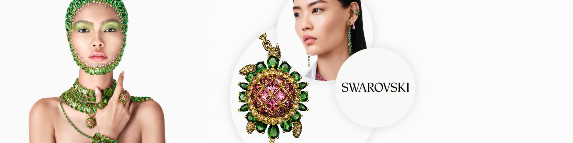 Swarovski Sucess Story - Connected Financial Planning