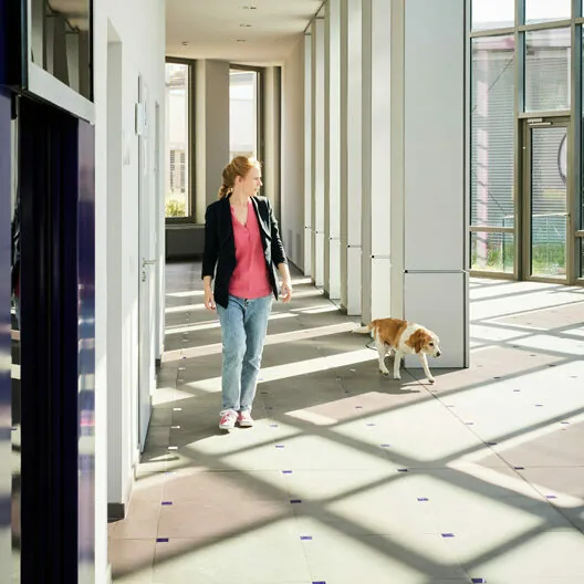A person in a pink shirt and blue jeans walks with a dog down a sunlit corridor with large windows.