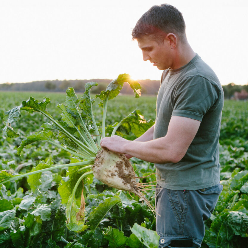 Agricultor no campos com uma beterraba na mão