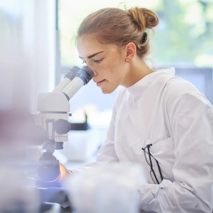 A female research scientist is analysing a sample on her microscope in a microbiology lab . The lab is brightly lit with natural light. Blurred glassware at side of frame provides copy space