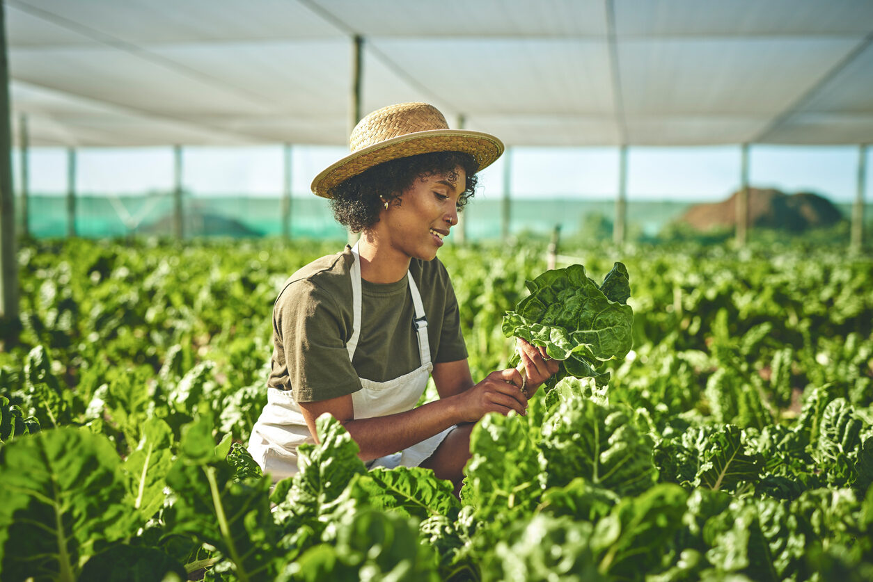 Shot of a young woman working with crops on a farm