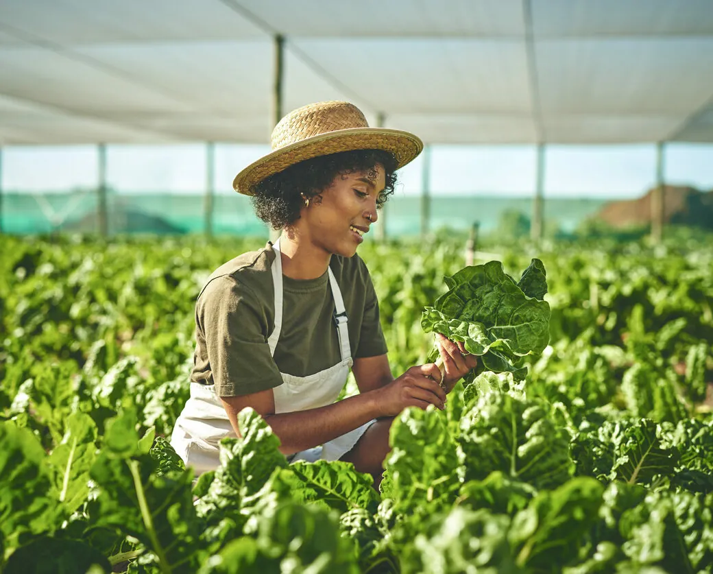 Shot of a young woman working with crops on a farm