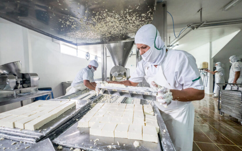 indústria alimentar, fabricação de queijos, fabrica de lacticínios