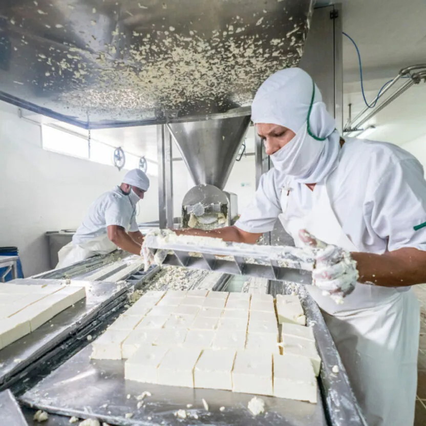 indústria alimentar, fabricação de queijos, fabrica de lacticínios