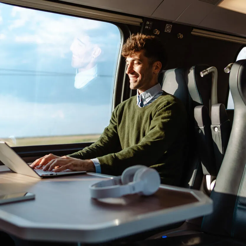 Business man working in the train.