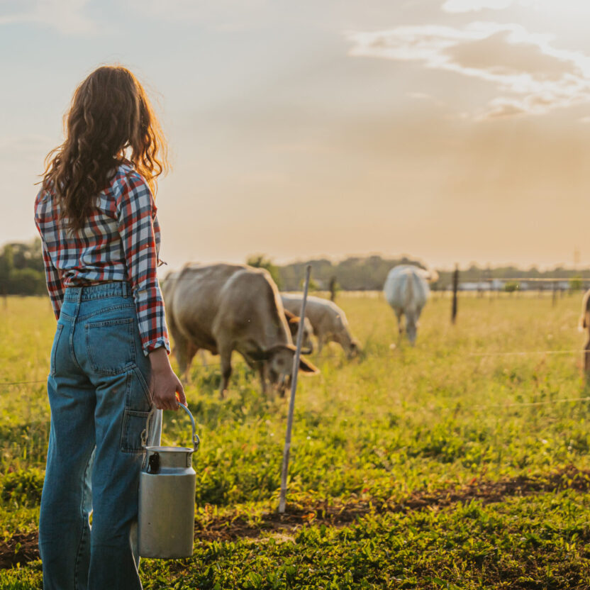 Young woman holding milk canister while watching over cows grazing on field
