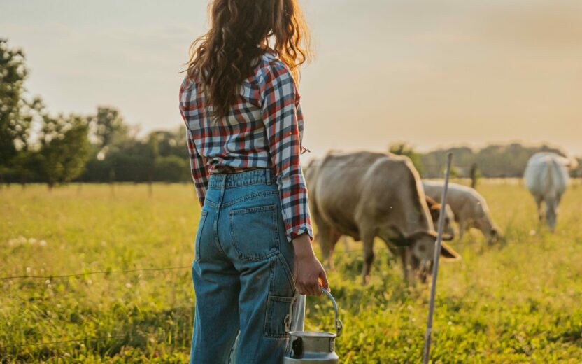 Young woman holding milk canister while watching over cows on field
