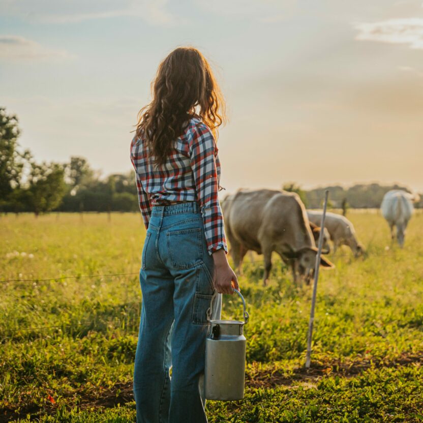 Young woman holding milk canister while watching over cows on field