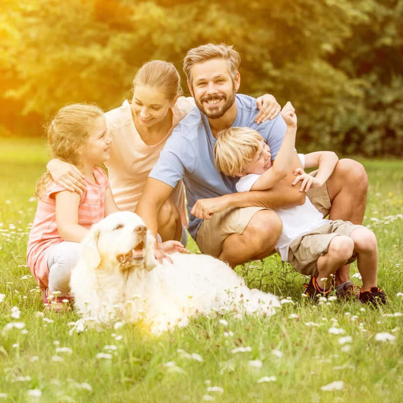 Glückliche Familie mit zwei Kindern und einem weißen Hund beim Picknick auf einer Blumenwiese im Sonnenlicht – Symbol für Lebensfreude und Naturverbundenheit.