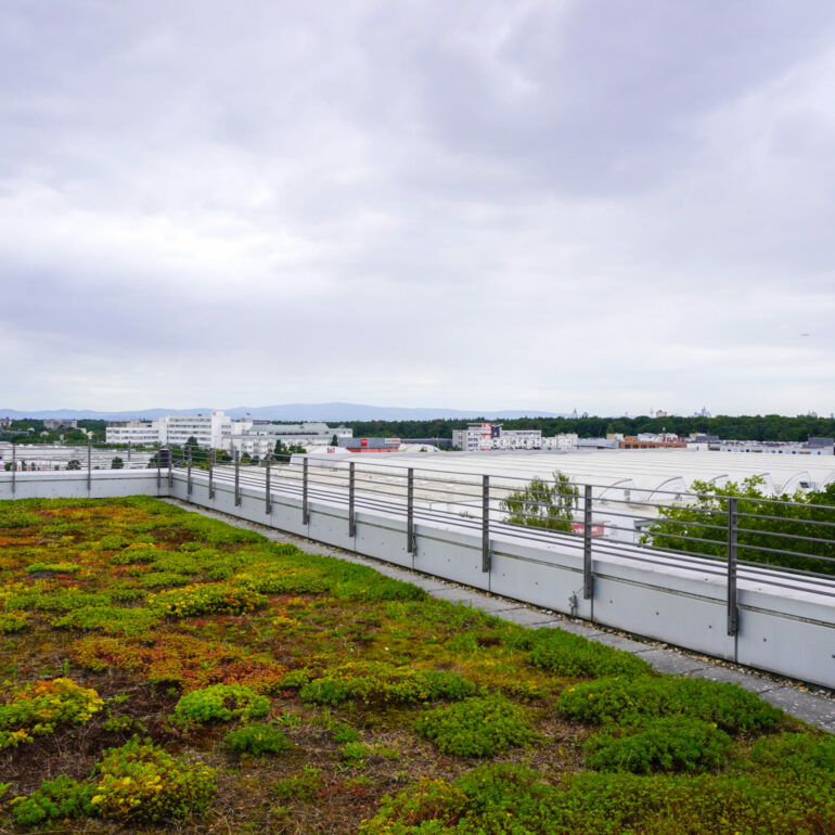 View of the Frankfurt skyline from the rooftop terrace in Dreieich