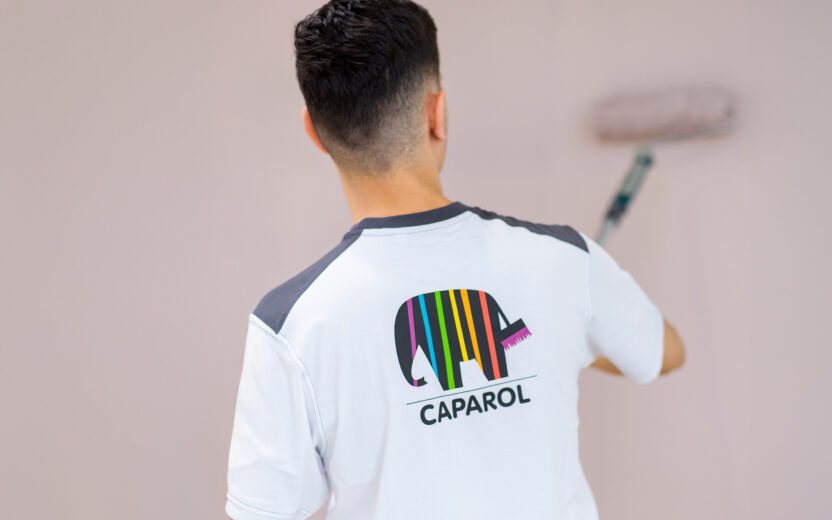 DAW Caparol Application Center