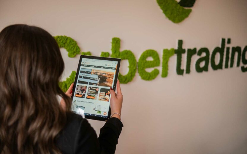 Webshop it-market website user