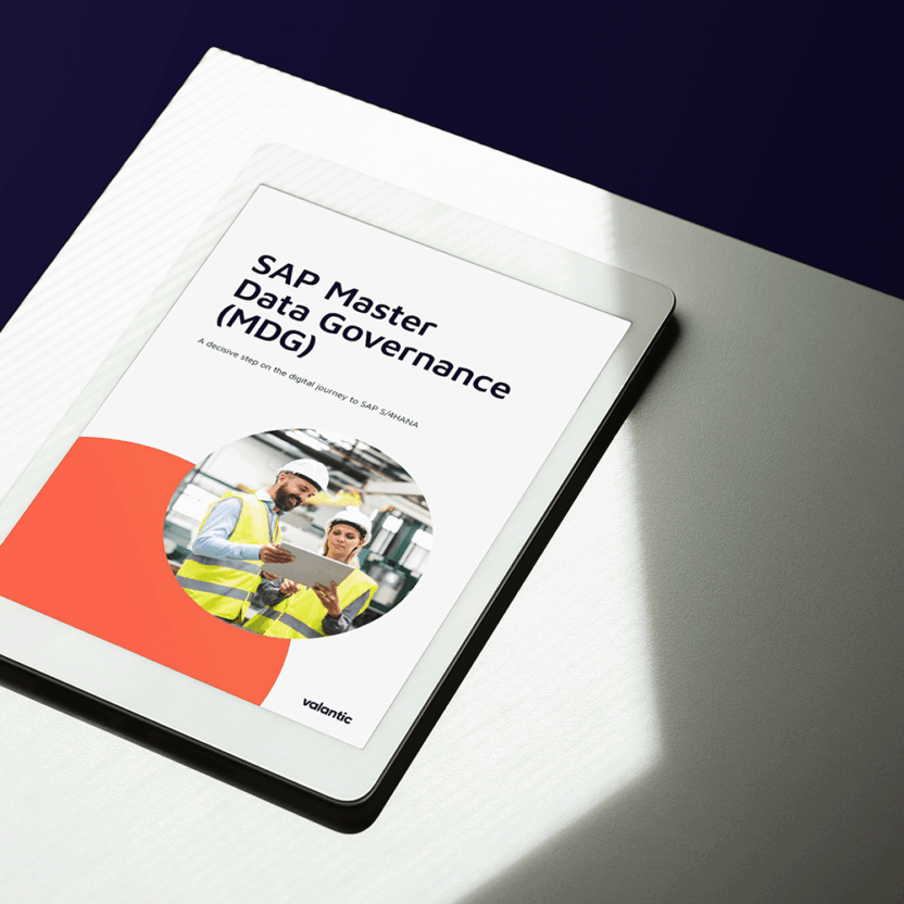 MockUp whitepaper master data governance