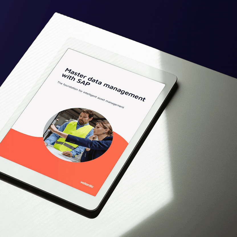 MockUp whitepaper master data management