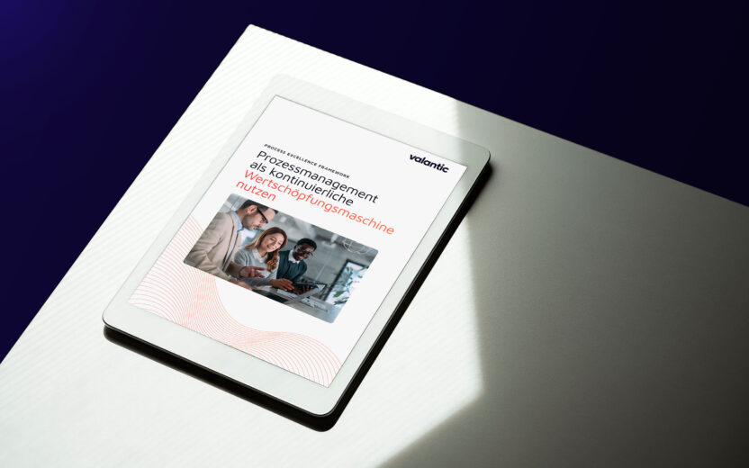 Process Excellence Framework Whitepaper