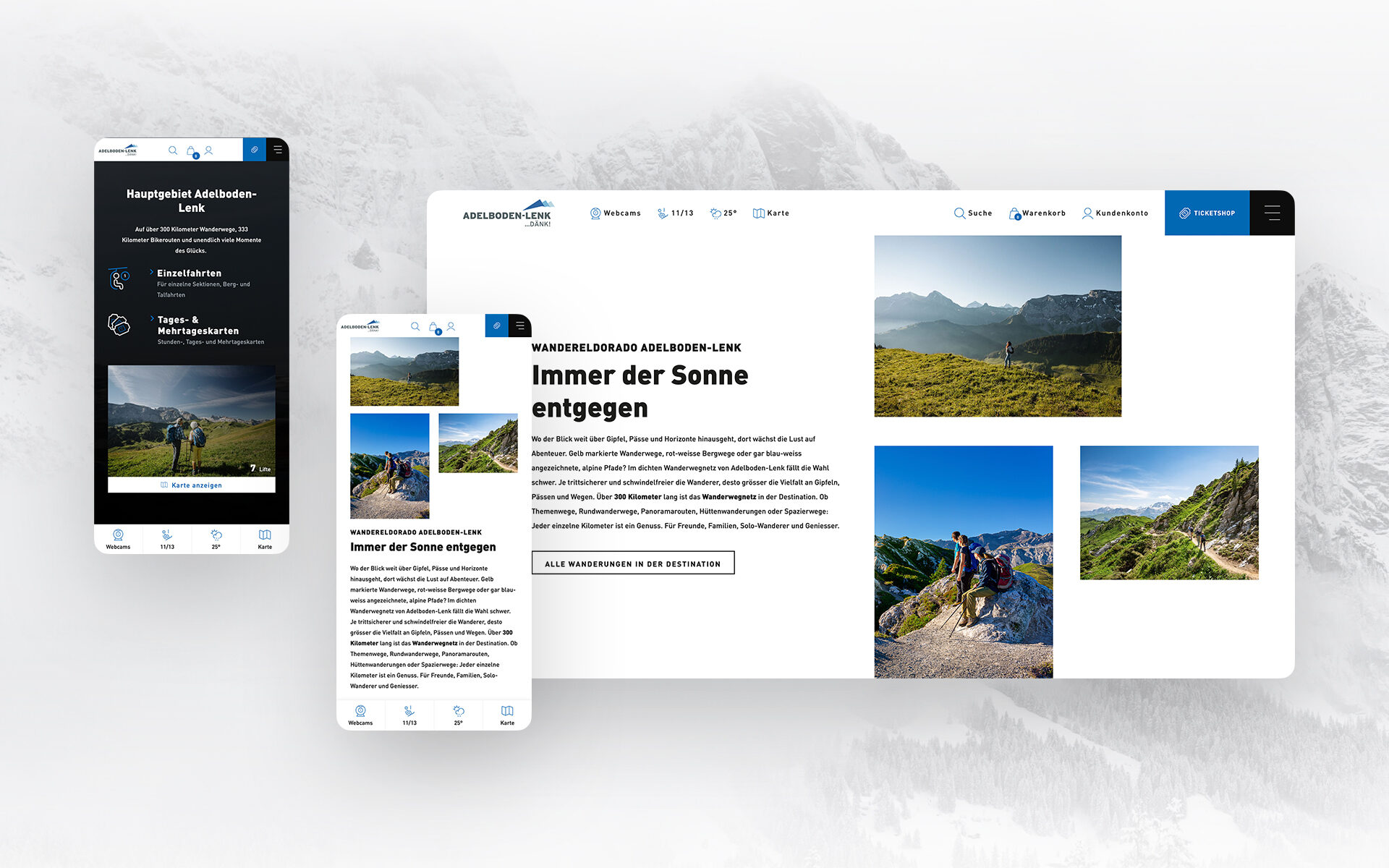 Screenshot of the new website of Adelboden-Lenk