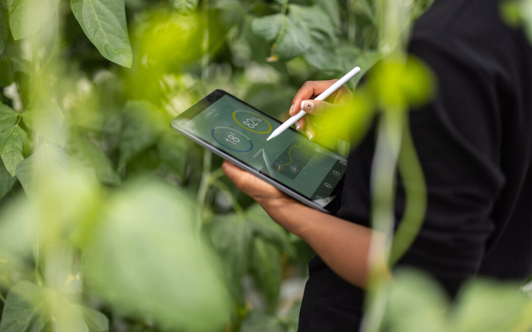 E-Commerce Dashboard auf Tablet zwischen Pflanzen, Person nutzt Stift zur Dateneingabe
