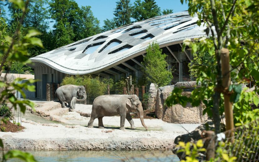 Retail Planning Event Zoo Zürich