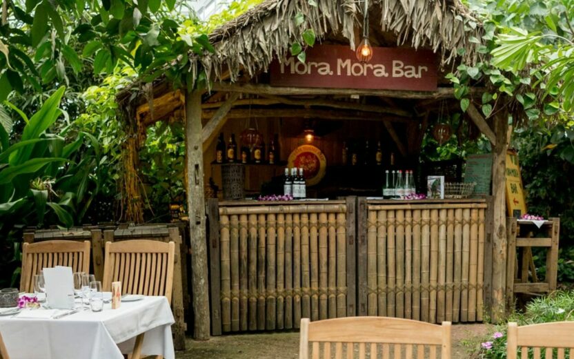 Retail Planning Event Zoo Zürich