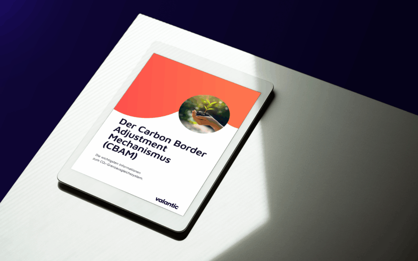 Mockup FAQ Whitepaper: Der Carbon Adjustment Mechanismus (CBAM)