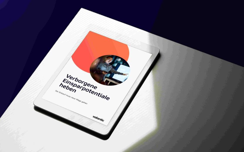 Mockup Whitepaper: Verborgene Einsparpotentiale heben