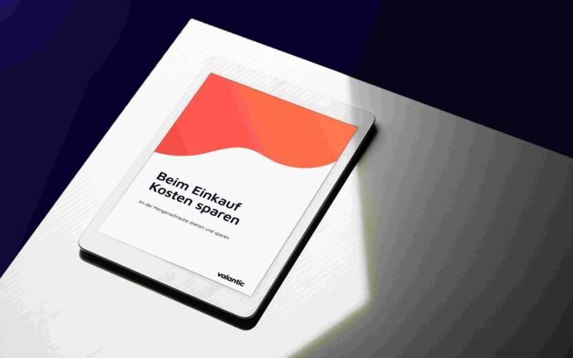 Mockup Whitepaper: Beim Einkauf Kosten sparen