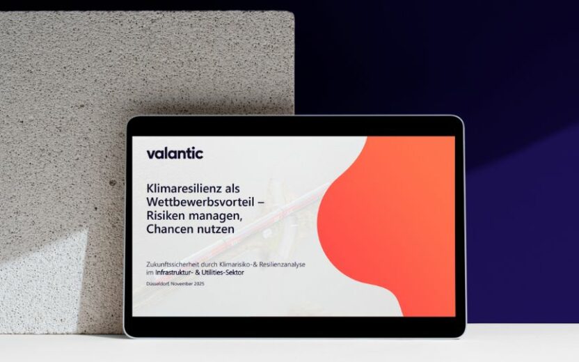 MockUp: Risiko- und Resilienzanalyse