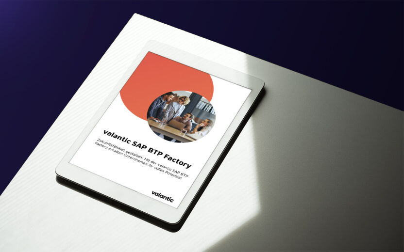 Mockup valantic Factsheet SAP BTP Factory