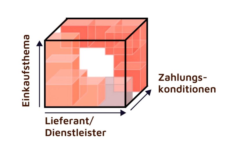 Multidimensionaler Spend Cube zur transparenten Erfassung von Einkaufsdaten