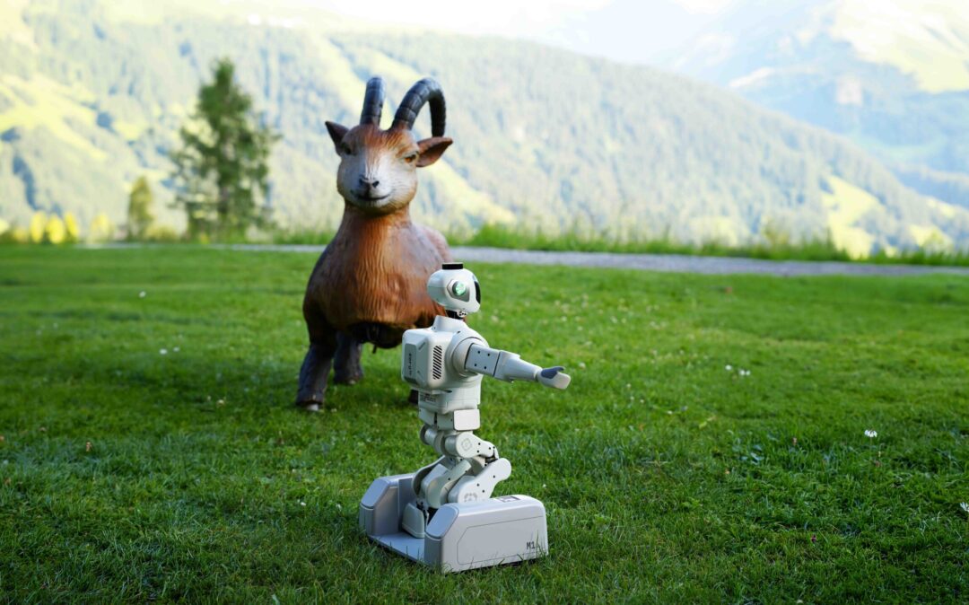 Robots Davos Tech Summit
