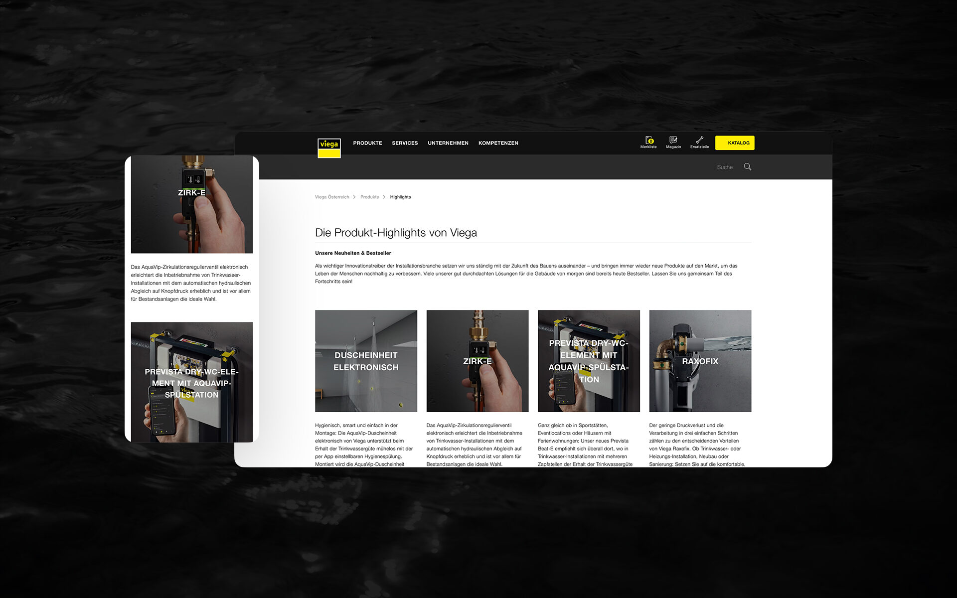 Ein Screenshot der Viega-Website am Deskopt.