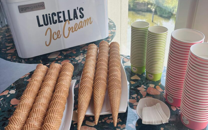 Ice cream break & harbor networking
