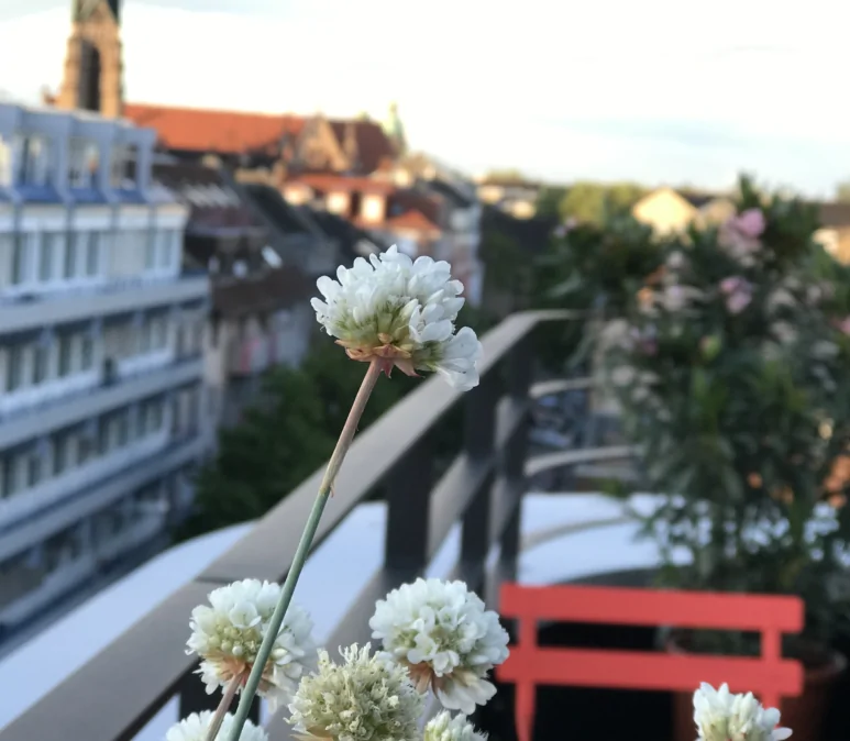 Bild einer Terrasse mit schönen Ausblick, valantic Niederlassung CEC in Mannheim