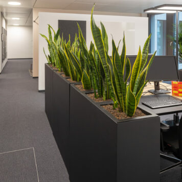 Bild von Büroräumen, valantic Niederlassung Supply Chain Excellence München