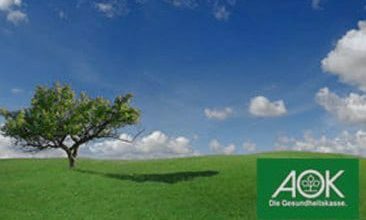 Picture of a tree on a green field and a blue sky, valantic Case Study AOK Niedersachsen